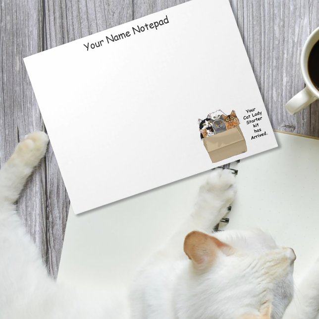 Bloc De Notas Kit de inicio de la dama del gato (Subido por el creador)