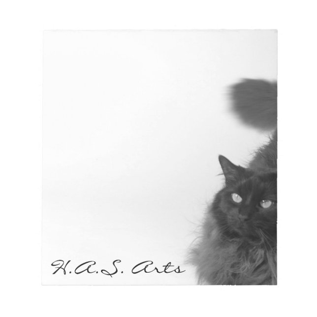 Bloc De Notas Kitty haiku notepad (Frente)
