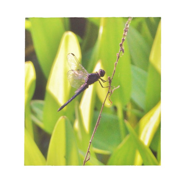 Bloc De Notas La libélula azul y la negra sobre la hierba. (Frente)