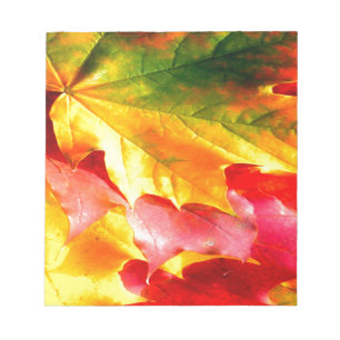 Bloc De Notas Las hojas de otoño lo personalizan amarillo, rojo,
