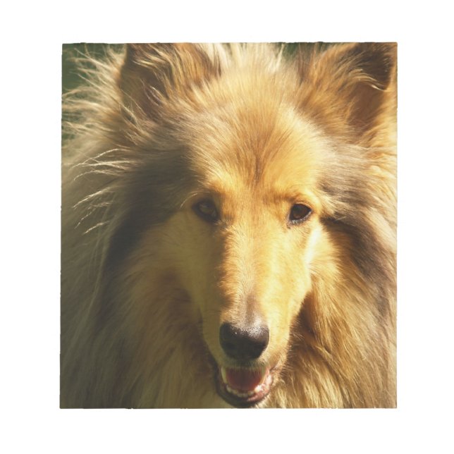Bloc De Notas Lassie Collie Notepad (Frente)