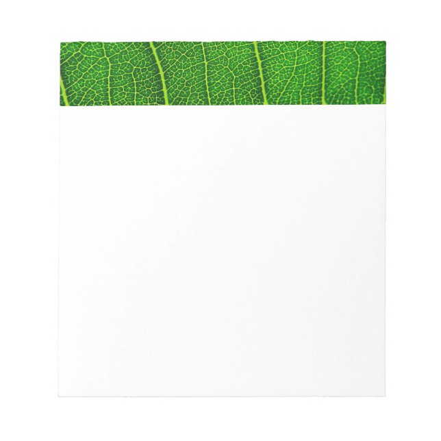 Bloc De Notas Leaf de árbol verde (Frente)