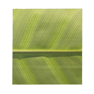 Bloc De Notas leerlo