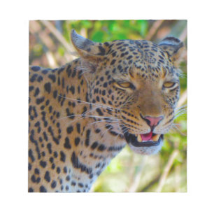 Bloc De Notas Leopardo manchado