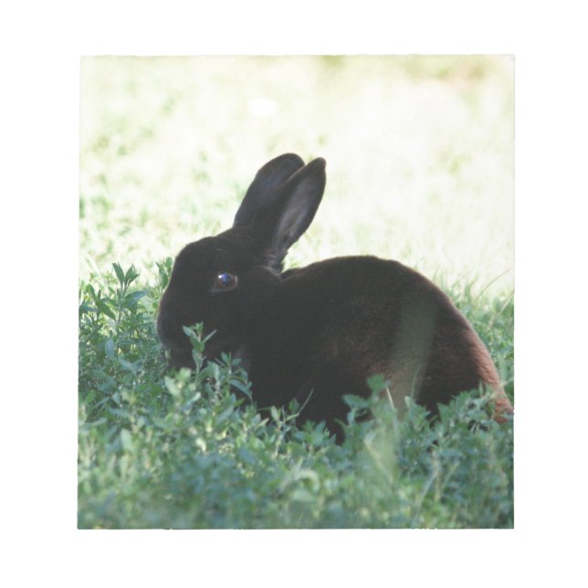 Bloc De Notas Lil Black Bunny (Frente)