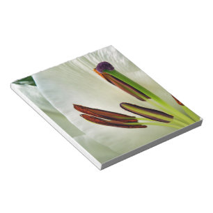 Bloc De Notas Lilium Oriental White