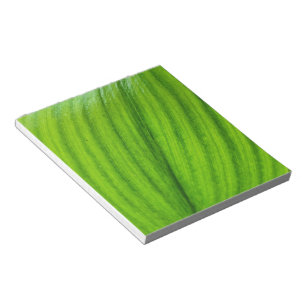 Bloc De Notas Lily del Valle
