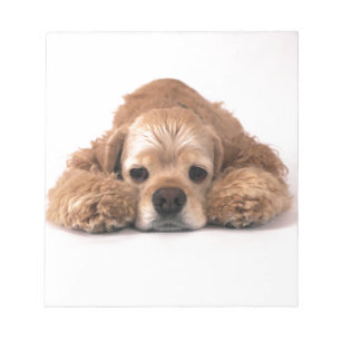Bloc De Notas Lindo Cocker Spaniel