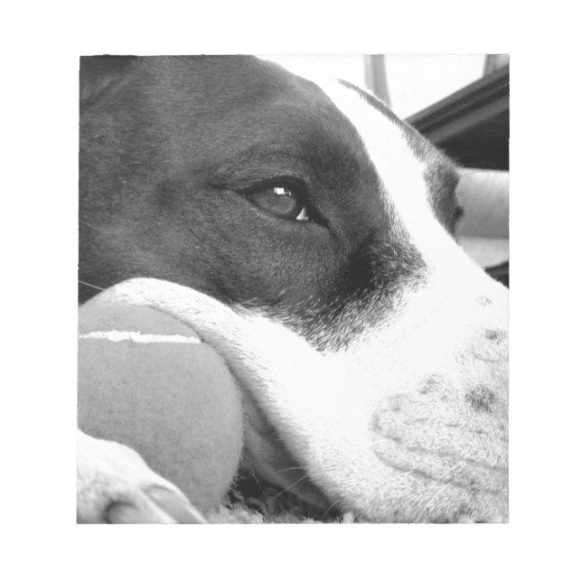 Bloc De Notas lindo perro pitbull de aspecto triste blanco negro (Frente)