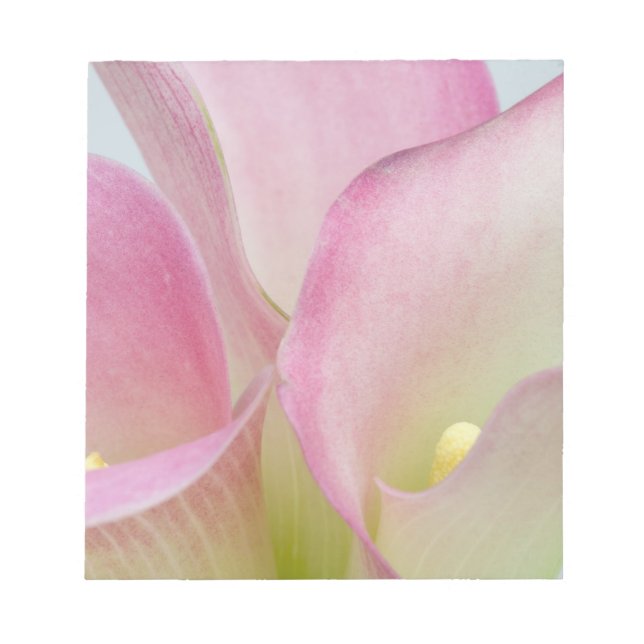 Bloc De Notas Lirios de Calla Rosados (Frente)