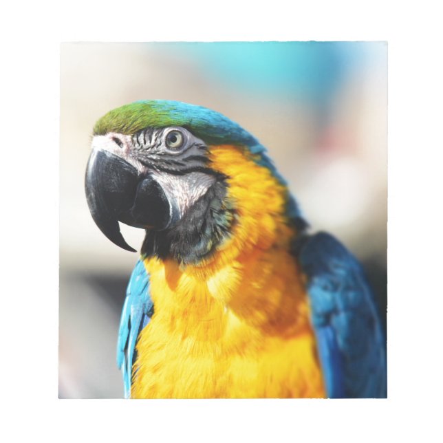 Bloc De Notas loro (Frente)