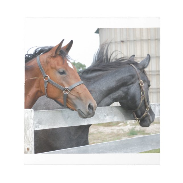 Bloc De Notas Los Caballos de Amor (Frente)