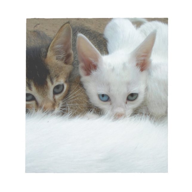Bloc De Notas Los gatos se ven lindos (Frente)
