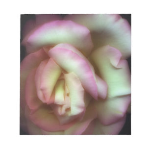 Bloc De Notas <Love is a Rose>de Nathan Griffith