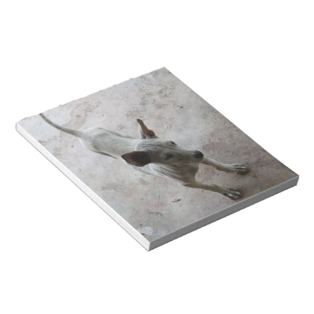 Bloc De Notas Luk Maa... Perro picante tailandés (Lado Derecho)