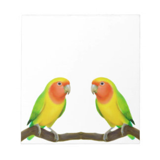 Bloc De Notas Lutino Lovebird Love Notepad