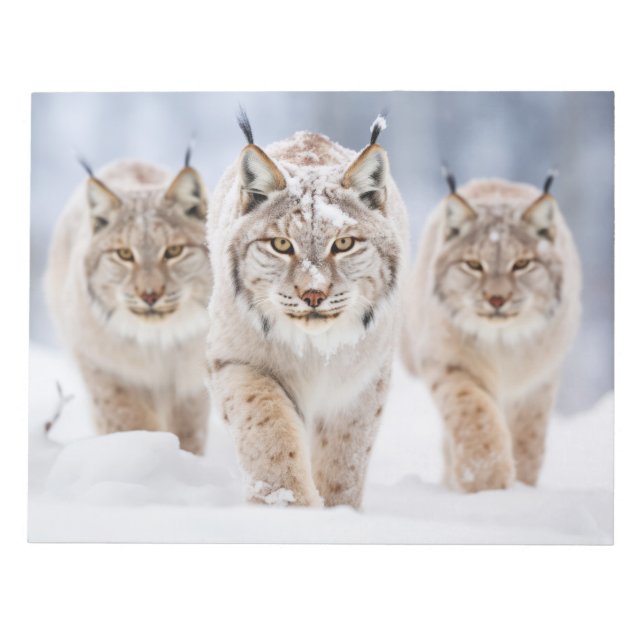 Bloc De Notas Lynx Animal Family Wandering Nature (Frente)