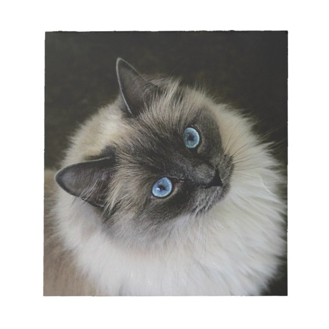 Bloc De Notas M`Lady (Frente)