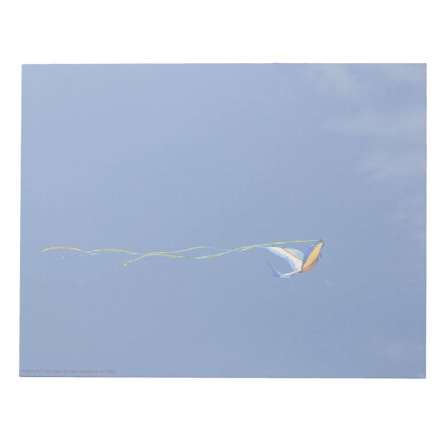 Bloc De Notas Macaw Kite (Frente)