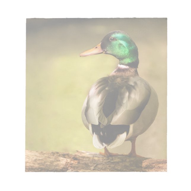Bloc De Notas Mallard Duck (Frente)