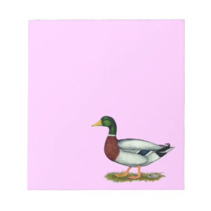 Bloc De Notas Mallard Duck Drake