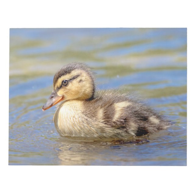 Bloc De Notas Mallard Duckling (Frente)