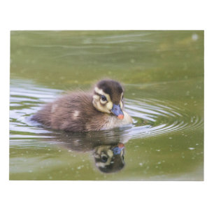 Bloc De Notas Mallard Duckling