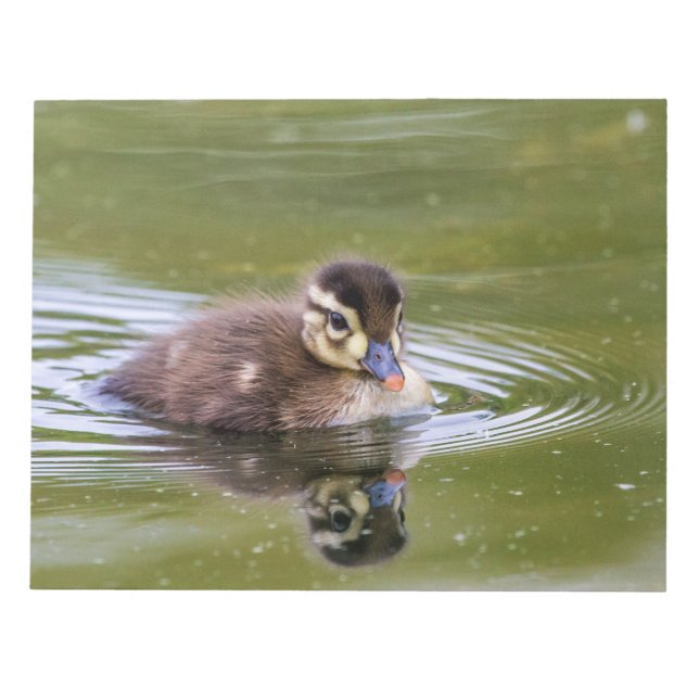 Bloc De Notas Mallard Duckling (Frente)