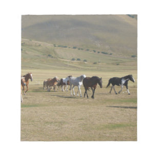 Bloc De Notas Manada de Caballos