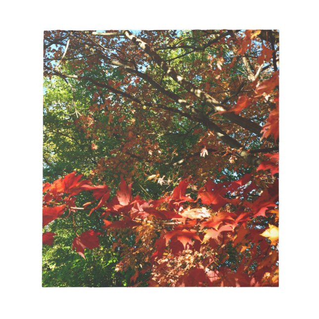 Bloc De Notas Maple japonés en otoño (Frente)