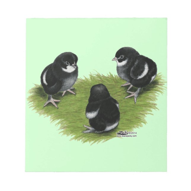 Bloc De Notas Marans Black Copper Chicles (Frente)