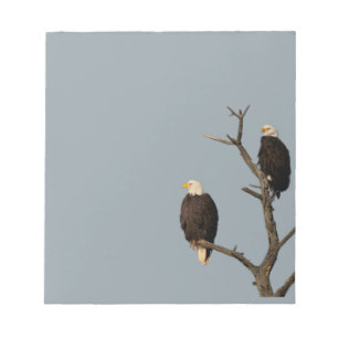 Bloc De Notas Maravillas Silenciosas Notepad Bald Eagles