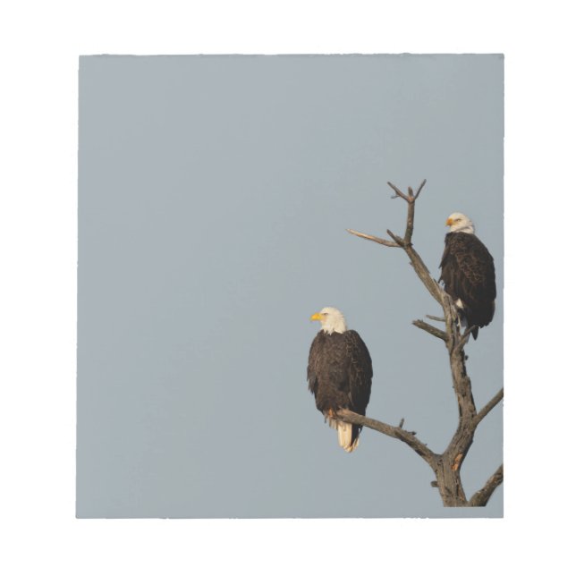 Bloc De Notas Maravillas Silenciosas Notepad Bald Eagles (Frente)