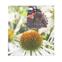 Mariposa almirante en la flor