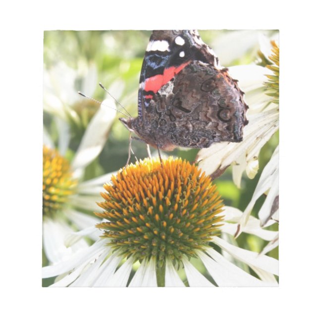 Bloc De Notas Mariposa almirante en la flor (Frente)