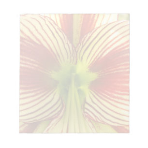 Bloc De Notas Mariposa Amaryllis