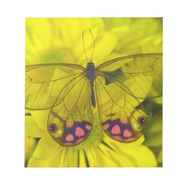 Bloc De Notas Mariposa en amarillo (Frente)