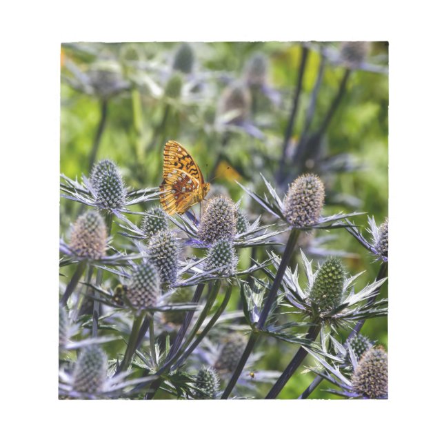 Bloc De Notas Mariposa Fritillary Sobre Cardo Azul (Frente)