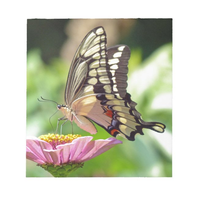 Bloc De Notas Mariposa Gigante (Frente)
