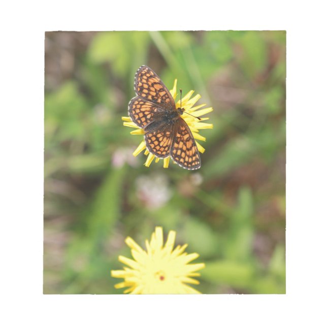 Bloc De Notas Mariposa - ¡Hermosa! (Frente)