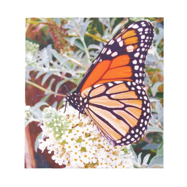 Bloc De Notas Mariposa monarca (Frente)