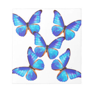 Bloc De Notas "Mariposa Morfo" の 優 良 製 品
