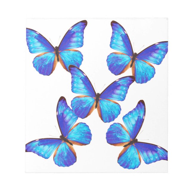 Bloc De Notas "Mariposa Morfo" の 優 良 製 品 (Frente)