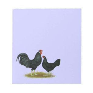 Bloc De Notas Marsh Daisy Chickens