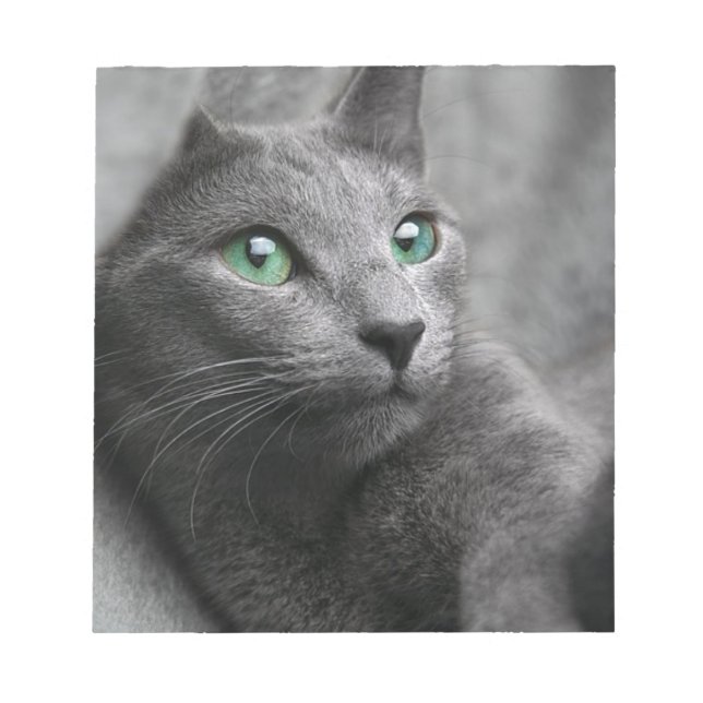 Bloc De Notas Mascota gris de aspecto azul ruso gato (Frente)