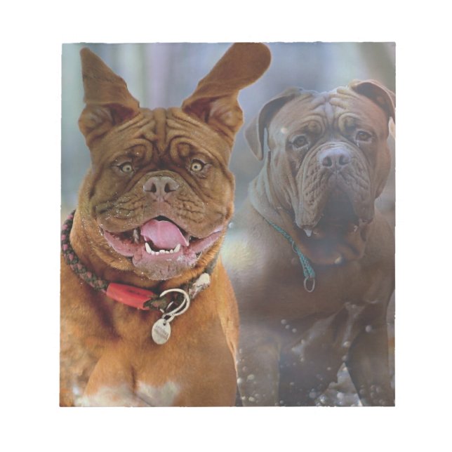 Bloc De Notas Mastiff Plus (Frente)