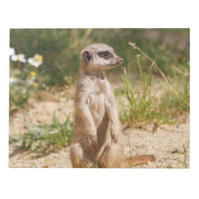 Bloc De Notas Meerkat 2014-0901 (Frente)