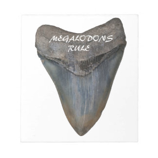Bloc De Notas Megalodon Shark Tooth