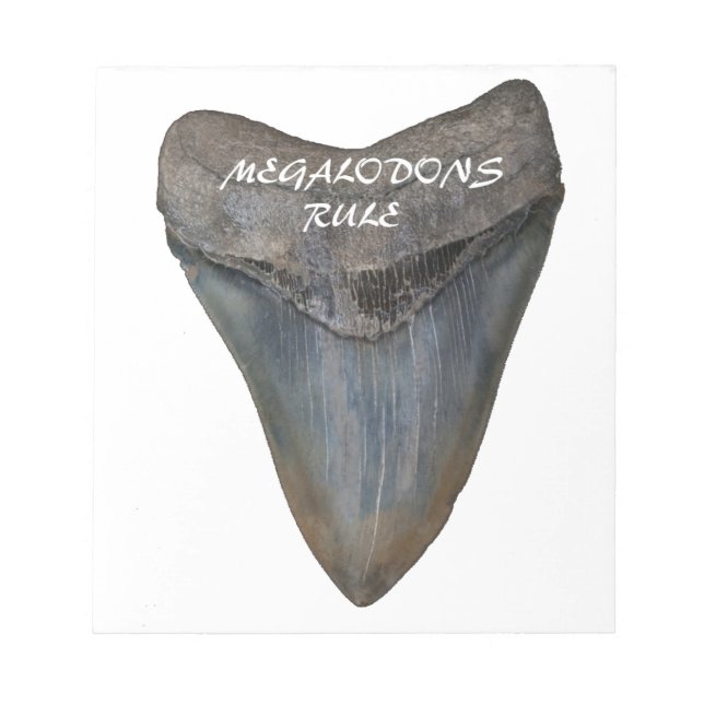 Bloc De Notas Megalodon Shark Tooth (Frente)