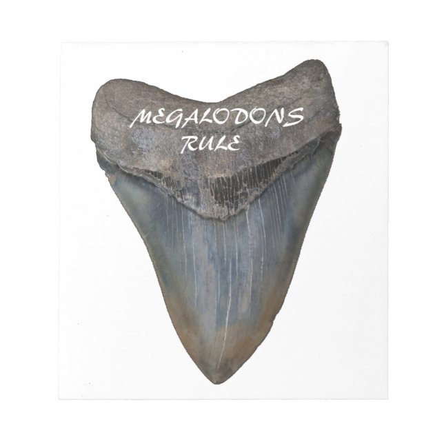 Bloc De Notas Megalodon Shark Tooth (Frente)